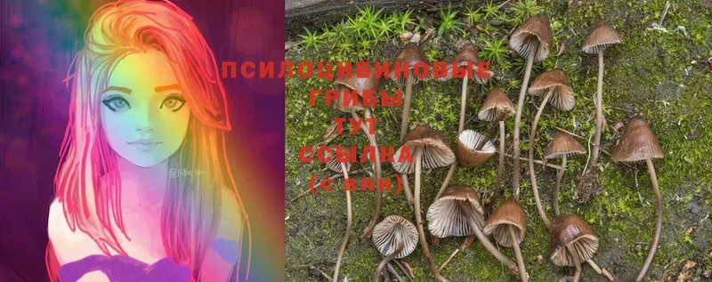 Галлюциногенные грибы Magic Shrooms  МЕГА ССЫЛКА  Новое Девяткино 